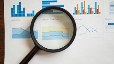 business insights and monitoring