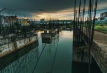 dynamic models progression analysis