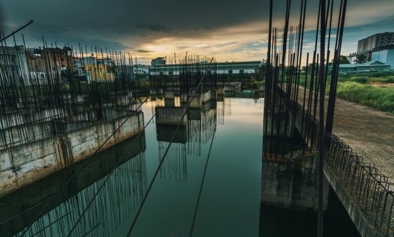 dynamic models progression analysis