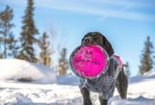 fusion node 931222126 hyper