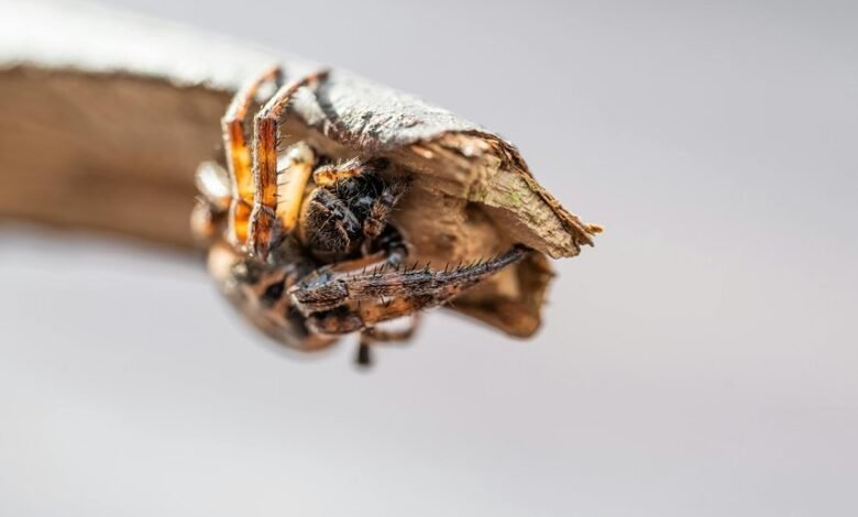 innovative digital growth strategy