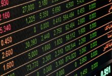 market insight and outlook