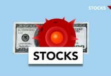 revenue generation for vector