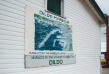 zenith edge authority mapping